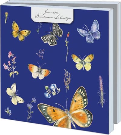 Kaartenmapje met env, vierkant: Vlinders, Janneke Brinkman