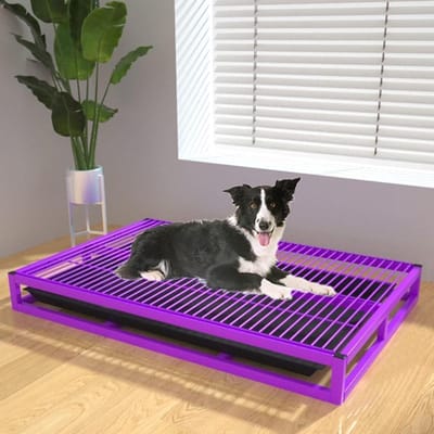 Hondentoilet Trainingsbak - Plasbak Hond Puppy - Zindelijkheidstraining Binnen - Voeten Blijven Droog - 78x50x9 cm - Paars
