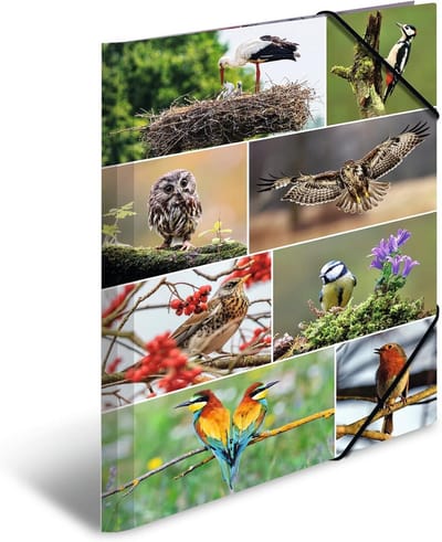 Verzamelmap A3 Kleuterschool Woonvogels 3-delig Stevig Karton Documentenmap met Elastiek voor Jongens en Meisjes