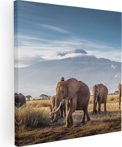 Artaza Canvas Schilderij Olifant - 80x80 cm - Wanddecoratie Afrika - Muurdecoratie Dieren - Schilderijen Op Canvas Kilimanjaro