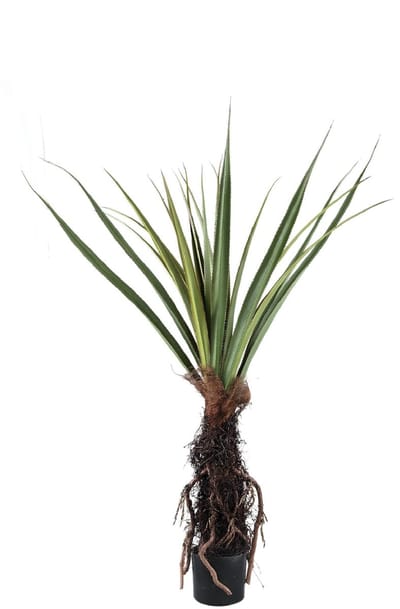 PTMD Kunstplant Pandanus - 130x130x150 cm - Polyester - Groen