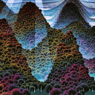 Wang Wen - 100000 Whys (2 LP)