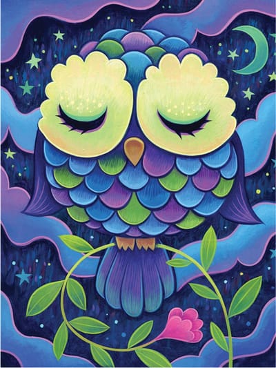 Diamond Painting Set - Uil Middernacht - incl. Pen & Wax - 30x40cm