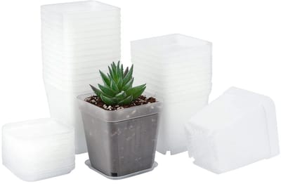 Dailygoods- Zaailingpotten 24 stuks - Vierkante Plantenpotten - Plastic Bloempotten - Afvoergaten - Hoogwaardige Kunststof - Helder 7 cm - Plantenpot