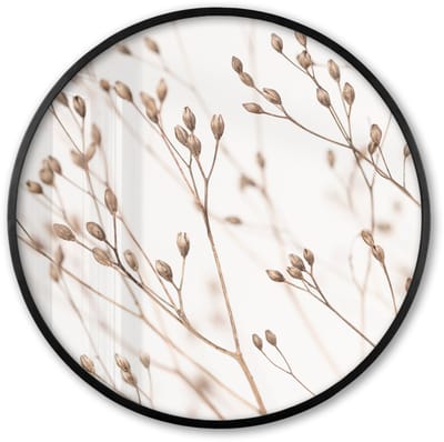 Poster in lijst Rond - Fotolijst 60x60 cm - Posters - Natuur - Planten - Tak - Wit - Bruin - Droogbloemen - Ronde posterlijst zwart - Decoratie - Wanddecoratie woonkamer - Muurdecoratie slaapkamer