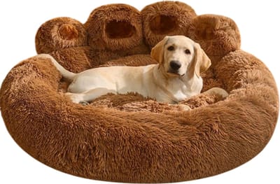 Hond Bed Bank Elegante Kussen Kat Of Honden XL Bed Grote Bed Lounge Sofa Bed Voor Kleine Middelgrote Honden