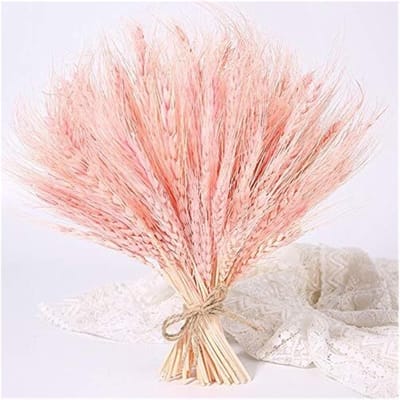 Gedroogde Bloemen - Natuurlijke Decoratie - Huis Aankleden - Jaar Lang Mooi - 50 Stuks - Natuurlijk
