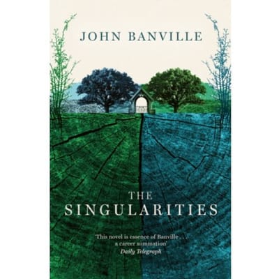 The Singularities - John Banville