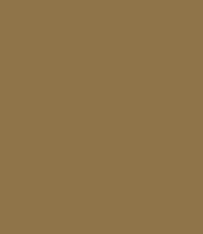 Carte Colori Calcare Kalkverf Olivia CC031 2,5 Liter