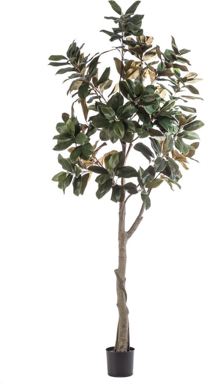 Emerald - Kunstboom Magnolia Denudata 240cm - Kunstplant voor binnen - Magnolia plant - Magnolia boom