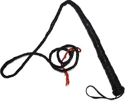 Zweep - kostuum accessoire