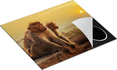 Chefcare Inductie Beschermer Twee Apen Bekijken de Zonsondergang - 60x50 cm - Afdekplaat Inductie - Kookplaat Beschermer - Inductie Mat