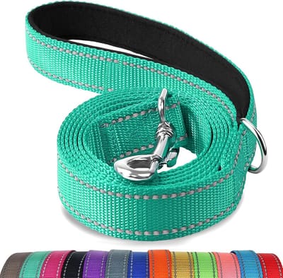 Hondenriem 6ft (1.8m) - Dubbelzijdig Reflecterend - Gepolsterd Handvat - Extra Sterk Nylon - Voor Middelgrote en Grote Honden - Turkoois/Zee Groen - 1 Stuk