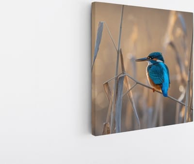 Saammp Canvas Schilderij - Vogel op tak - Dieren - Bloemen - 20x20 - Foto op canvas - Wanddecoratie - muurdecoratie Woonkamer - Slaapkamer decoratie - Canvas Print