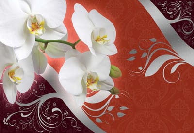 Fotobehang Pattern Flowers Orchids Abstract | XXXL - 416cm x 254cm | 130g/m2 Vlies