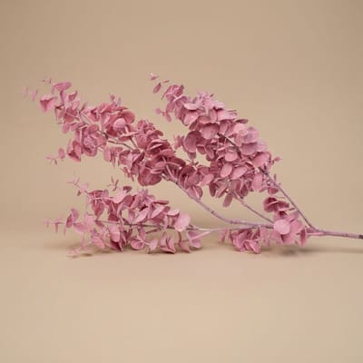 Decoratieve kunst Eucalyptus tak - 1 steel - ↑ 83 cm