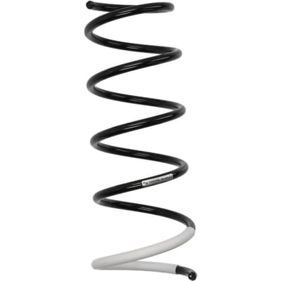 Chassisveer SACHS 993 472