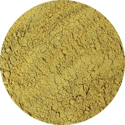 Van Beekum Specerijen - Foenegriek / Fenegriek Gemalen - 25 KG - Zak (bulk verpakking)