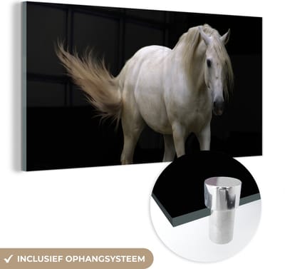 MuchoWow® Glasschilderij 40x20 cm - Schilderij acrylglas - Paarden - Boerderijdieren - Zwart - Foto op glas - Schilderijen