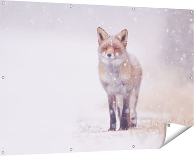 Gards Tuinposter Vos in de Sneeuw - 150x100 cm - Tuindoek - Tuindecoratie - Wanddecoratie buiten - Tuinschilderij