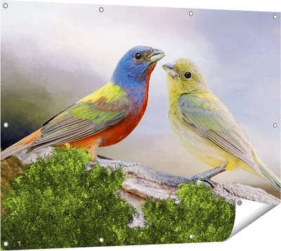 Gards Tuinposter Getekende Gorzen Vogels - Kleur - Abstract - 120x90 cm - Tuindoek - Tuindecoratie - Wanddecoratie buiten - Tuinschilderij