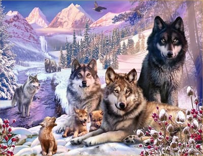 VDTOYS® DIAMOND PAINTING volwassenen - VDTB145 - vierkante steentjes - full - groot formaat - nieuwe tekeningen - 55 op 45 cm (canvas) - 50 op 40 (foto)