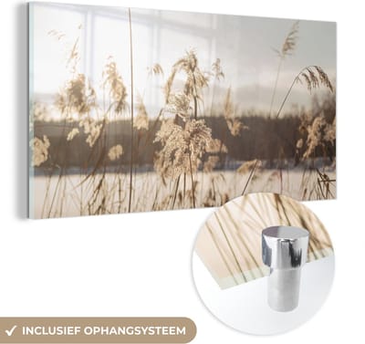 MuchoWow® Glasschilderij 40x20 cm - Schilderij acrylglas - Water - Pampasgras - Planten - Foto op glas - Schilderijen