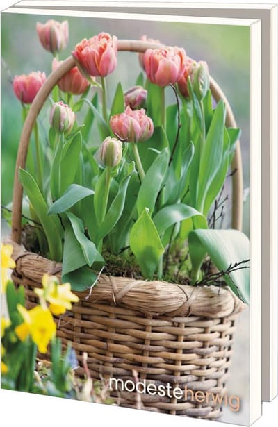 Wenskaartenmapje - Bekking & Blitz - inclusief enveloppen - fotokunst - tuinfotografie - Bloemen in potten - Modeste Herwig