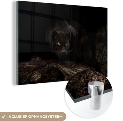 MuchoWow® Glasschilderij 60x40 cm - Schilderij acrylglas - Panter - Bos - Ogen - Foto op glas - Schilderijen