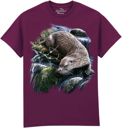 Exploring Otter The Coloured House T-shirt M