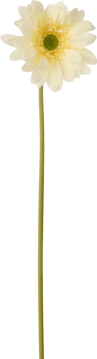 J-Line gerbera Echt Gevoel - kunststof - ecru - 6 stuks