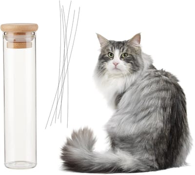 Dailygoods- Kattenhaar Collector - Transparante Glas Vaas - Bamboe Deksel - Geheugenbox - 30x120 mm - Voor Kattensnorharen - Herinneringsvaas