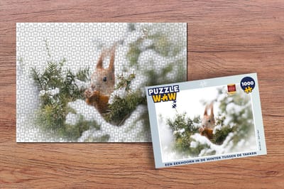Puzzel Eekhoorn - Den - Sneeuw - Legpuzzel - Puzzel 1000 stukjes volwassenen - Kerst - Cadeau - Kerstcadeau voor mannen, vrouwen en kinderen