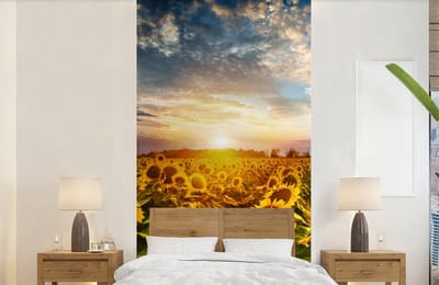 Behang - Fotobehang Bloemen - Zonnebloem - Lucht - Breedte 120 cm x hoogte 240 cm