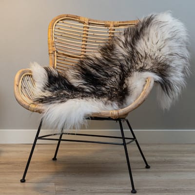 WOOOL Schapenvacht - IJslands Wit Zwart CURLY XS (80x45cm) 100% Echte Schapenvachten - ECO+ Dierenvel