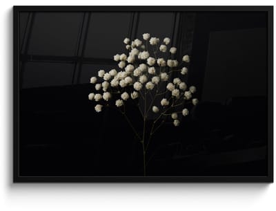 Poster in lijst - Fotolijst 90x60 cm - Posters - Gipskruid - Bloemetjes - Wit - Minimalistisch - Posterlijst zwart - Decoratie - Wanddecoratie woonkamer - Muurdecoratie slaapkamer
