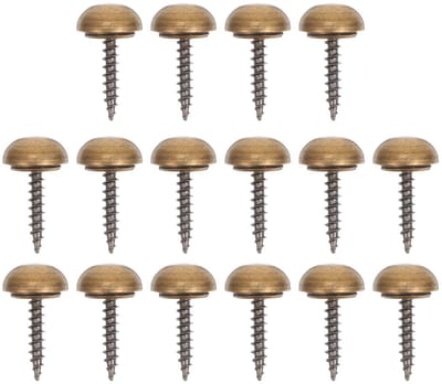 Dailygoods- Spiegelnagels 16 Stuks - Zelftappende Schroeven - Messing Metaal - Robuust Koper - Voor Reclameborden - Duurzaam en Praktisch - Meubelschroeven