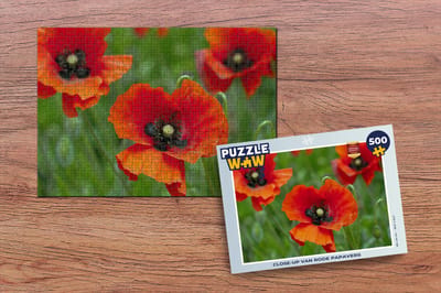 Puzzel Close-up van rode papavers - Legpuzzel - Puzzel 500 stukjes