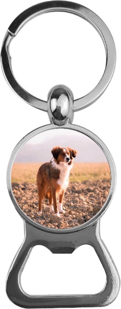 Bieropener Glas - Hond