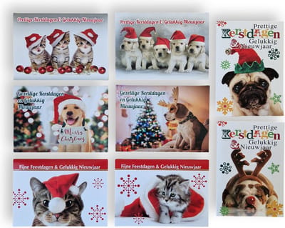 100 Luxe Kerst- en Nieuwjaarskaarten met Pen - 9,5x14cm - 10 x 10 dubbele kaarten met enveloppen - serie Honden & Katten
