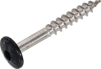 Ivana Gevelschroef t.b.v. Trespa RAL9011 grafietzwart TX-20 4.8x38 100St
