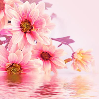 Diamant schilderij kruissteek chrysant diamant borduurwerk handwerk patronen strass kits 30x30CM