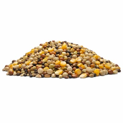 Reniers Fishing Partikel Mix Droog Cribs Superior Carp Mix 3 Kilo
