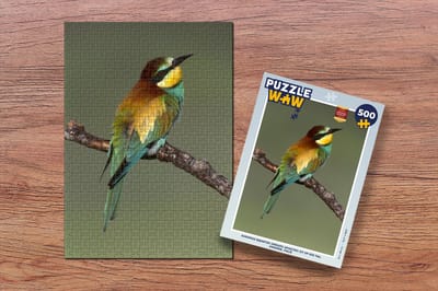 Puzzel Europese bijeneter (Merops apiaster) zit op een tak, Sardinië, Italië - Legpuzzel - Puzzel 500 stukjes