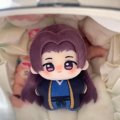 10cm Anime The Apothecary Diaries Chibi Maomao Pluche Pop Kawaii Katoenen Pop Renshi Maomao Pluche Figuur Gevuld Cosplay Speelgoed 10cm