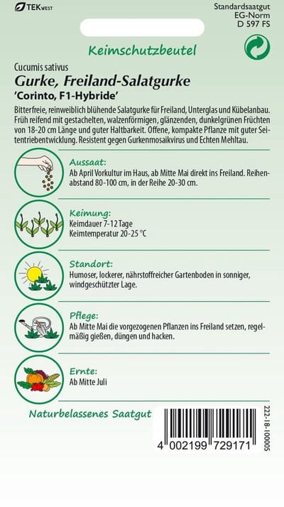 Saladekomkommer, buitensaladekomkommer, Corinto F1 - Groentekomkommerzaden, zaden