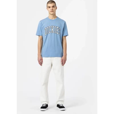 Dickies Dc Carpenter Broek Wit 28 Man