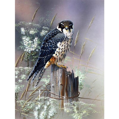 Volledige ronde boor diamant borduurwerk Birdie 5D DIY diamant schilderij kruissteek strass 20X30CM gray