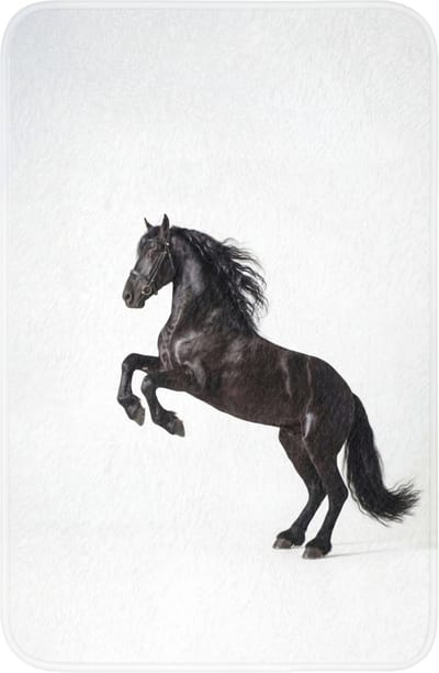 WC mat 40x60 cm - Antislip - Zwart - Paard - Portret - Toiletmat - Vloermat - Douchemat - Toilet tapijt - Toiletmatten