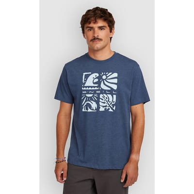 O'Neill Melange Front Print T-Shirt blauw
